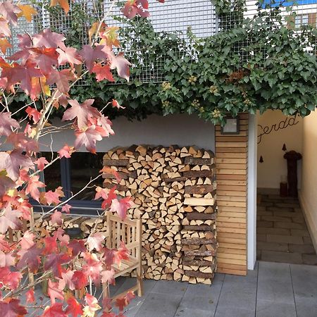 Gerda Wellness Apartment Grinzens Экстерьер фото